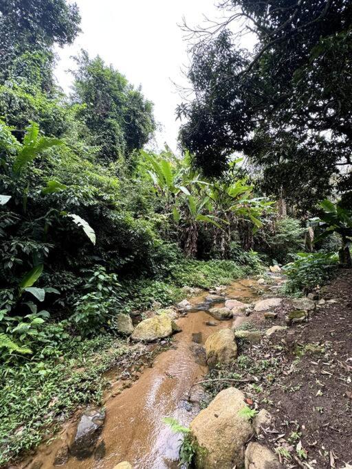 Casa Moderna Em Ilhabela Com Cachoeira