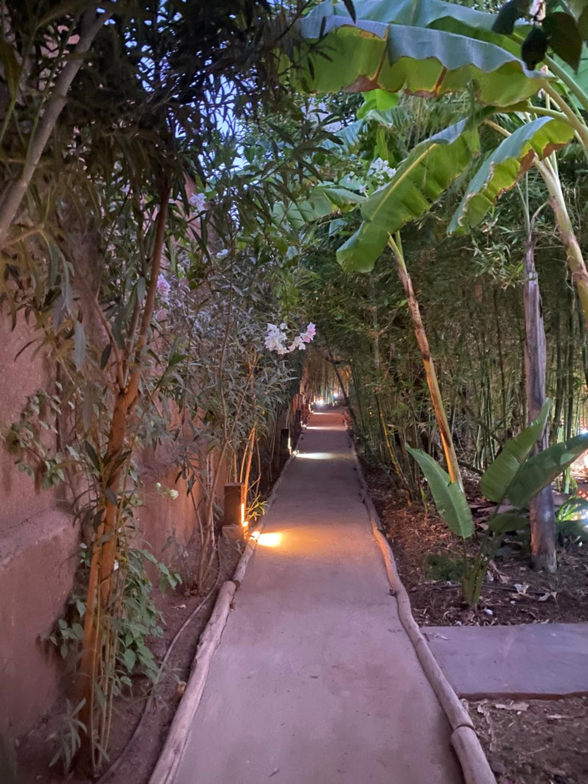 Jardin Sakina - Séjour paisible avec soins bien-être, à 35 minutes de Marrakech view 3