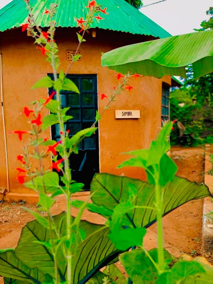 Sonofjohnhomestay