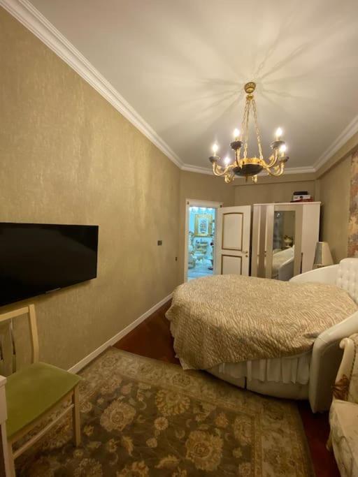 Luxurious apartment in center