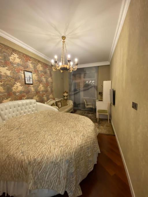 Luxurious apartment in center