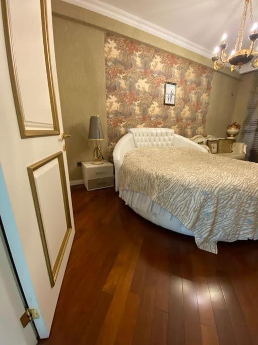Luxurious apartment in center