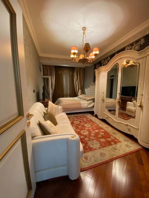 Luxurious apartment in center