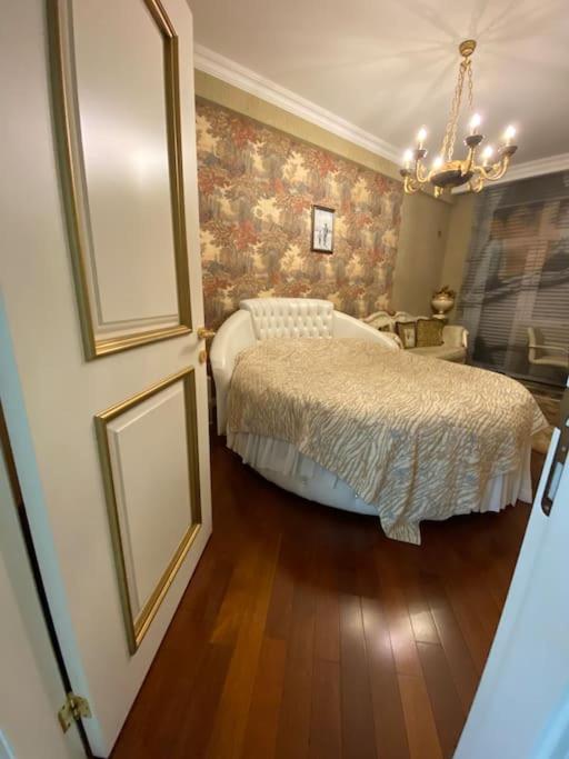 Luxurious apartment in center