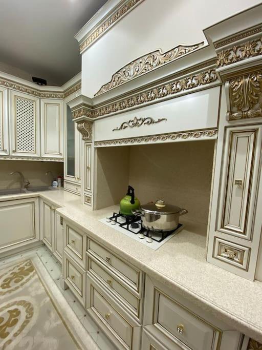 Luxurious apartment in center