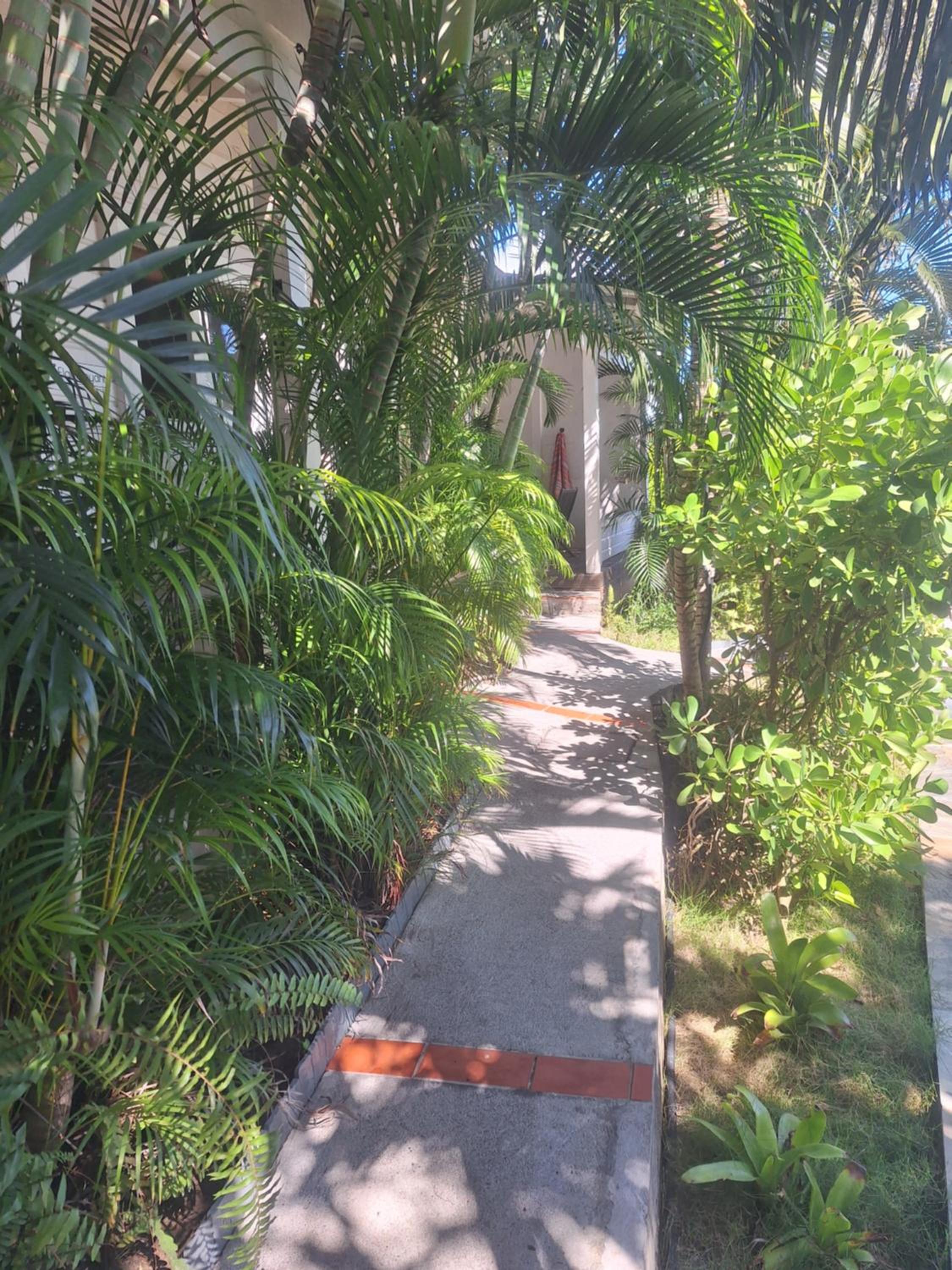 Photo 26