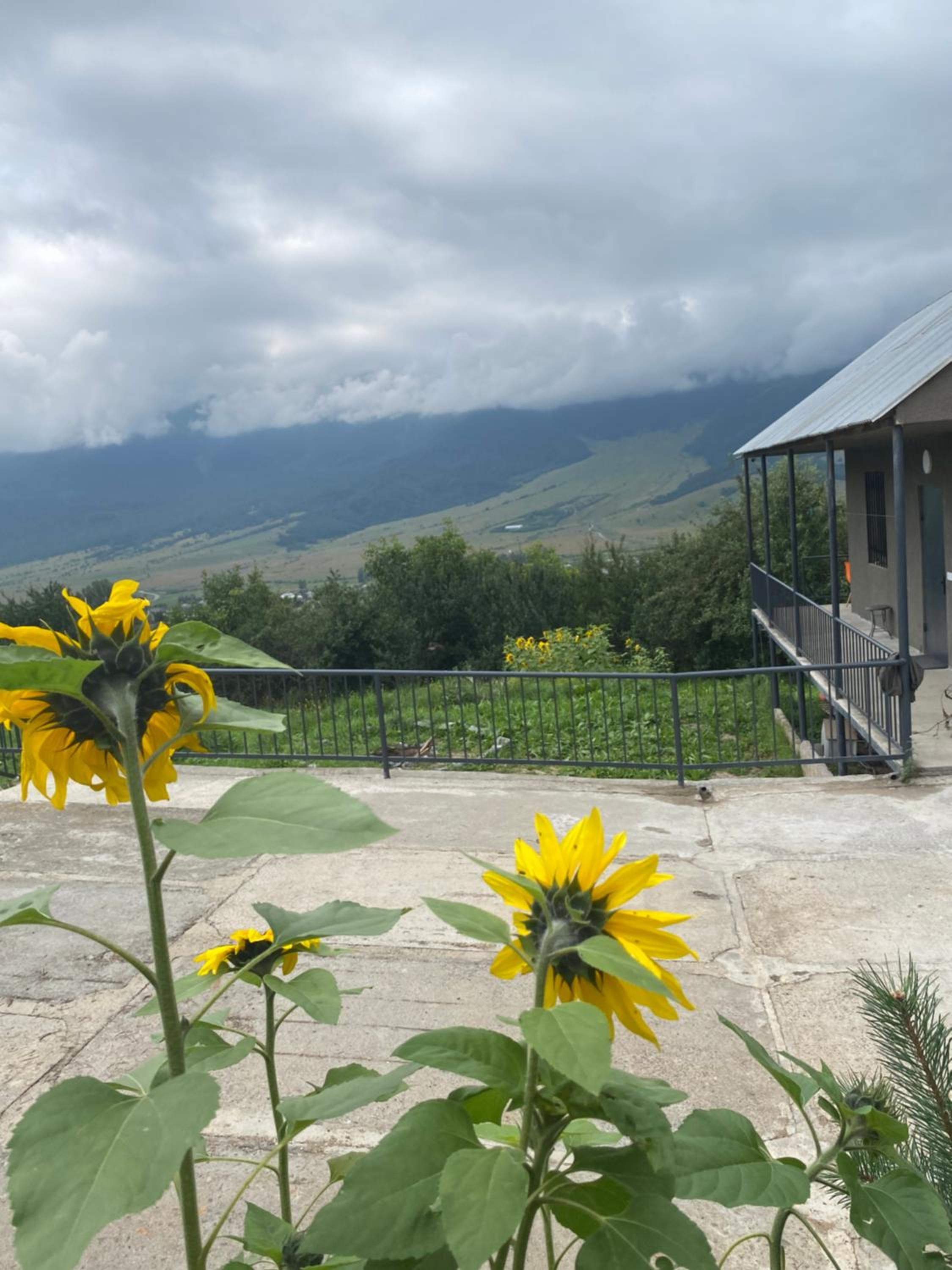 Dez Guest House with Mountain View
