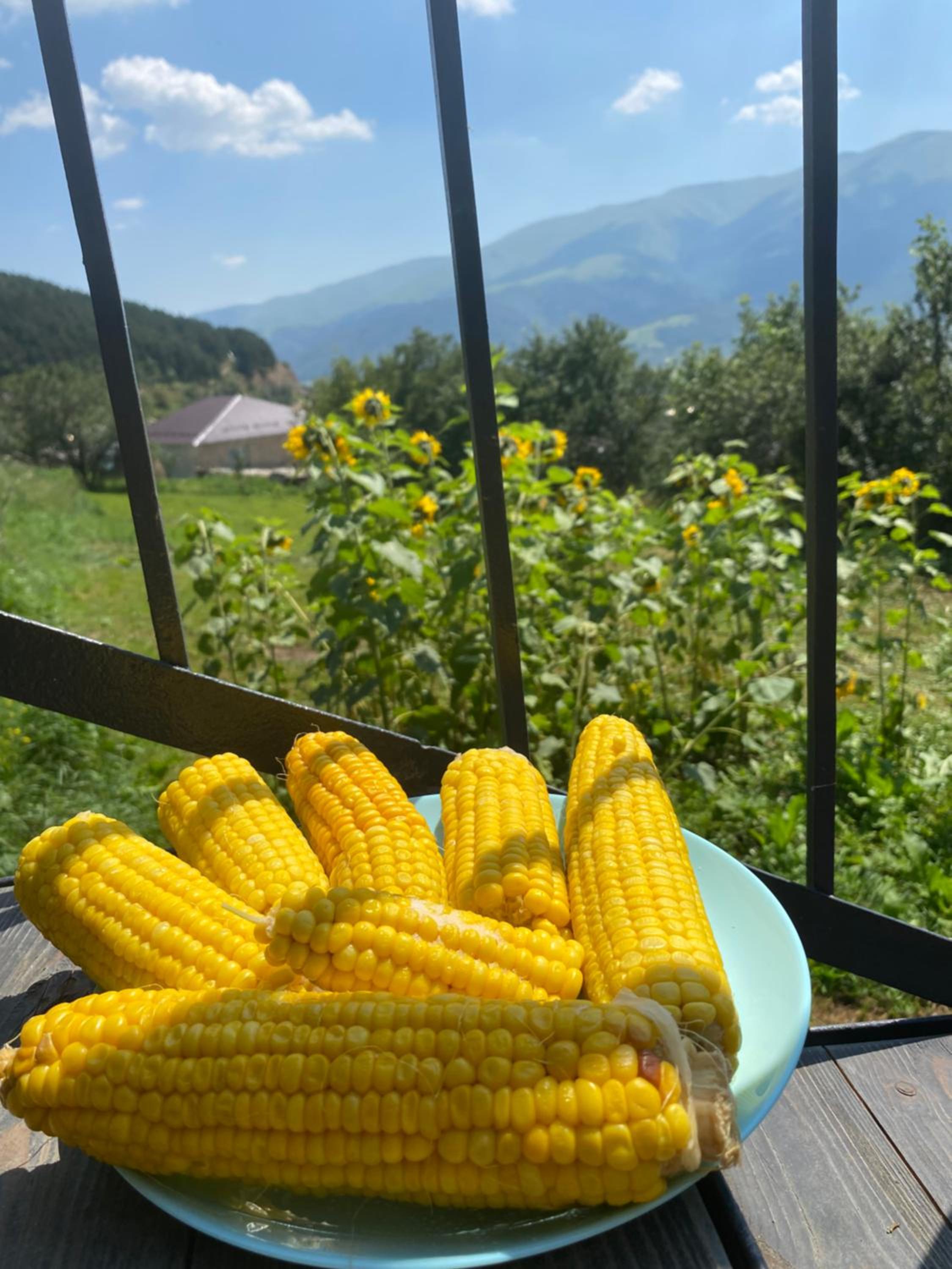 Dez Guest House with Mountain View