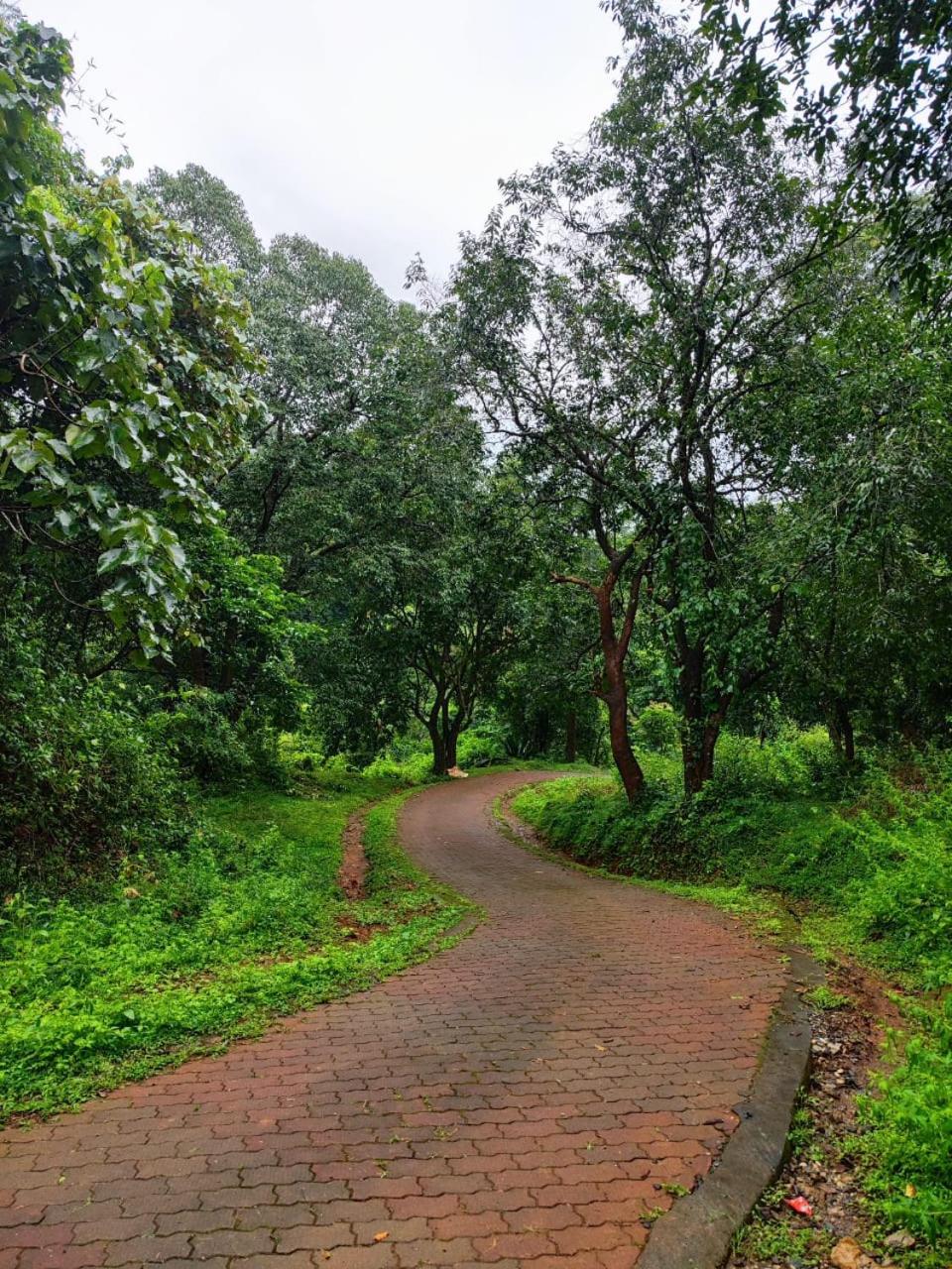 Brahmagiri Homestay Serviced Villa view 3