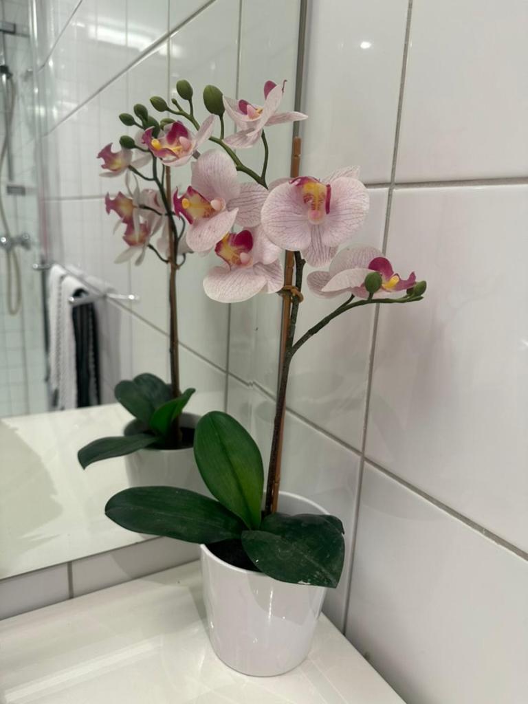 Leilighet nær sentrum Skøyen view 3