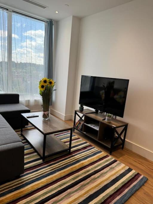 Luxury Apartment in London