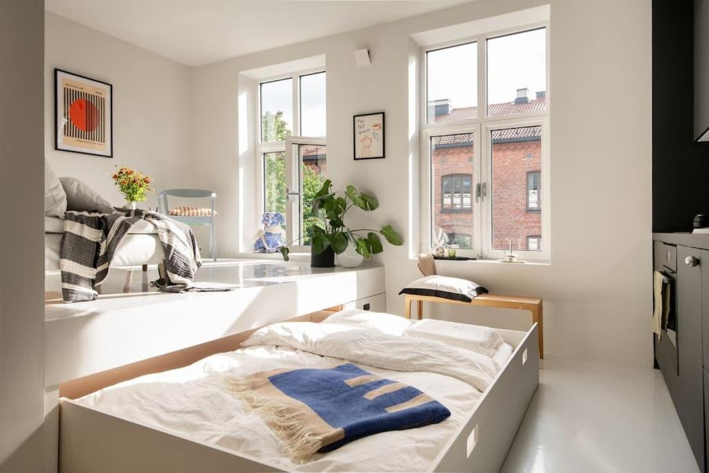 Beautiful studio-apartment view 2