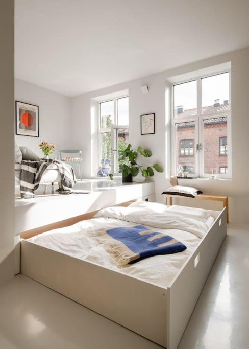Beautiful studio-apartment view 3