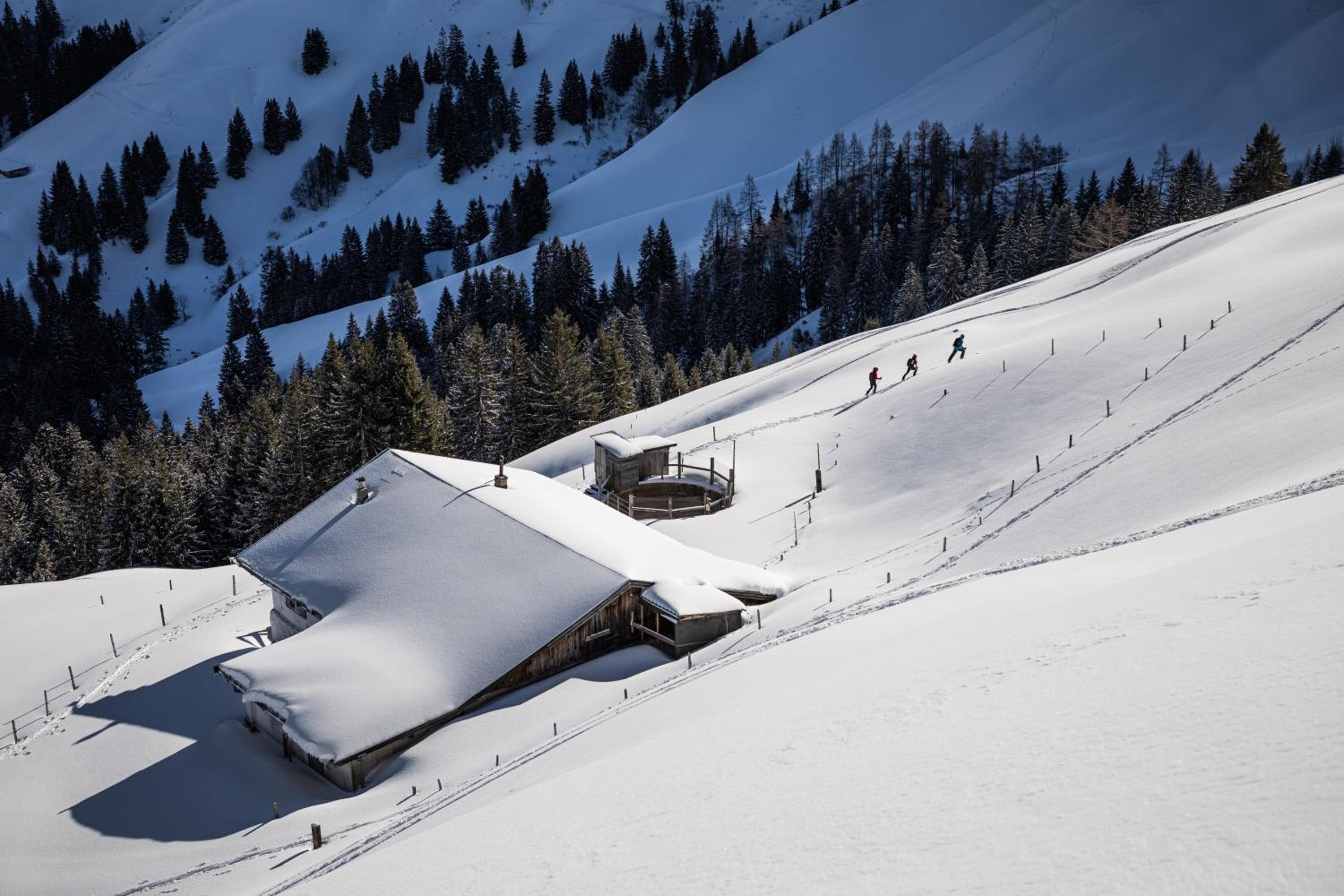 Kitzbühel Suites by ALPS RESORTS