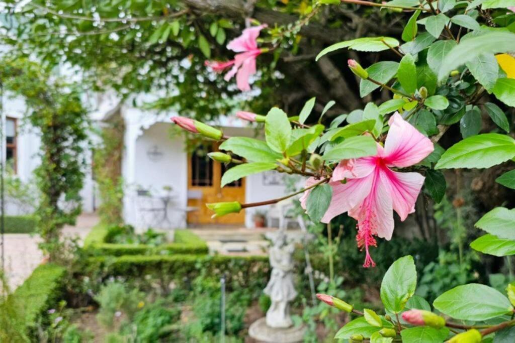 Grey Rabbit Cottage