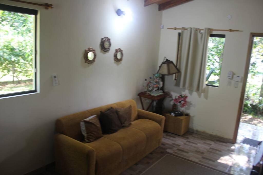 Photo 7