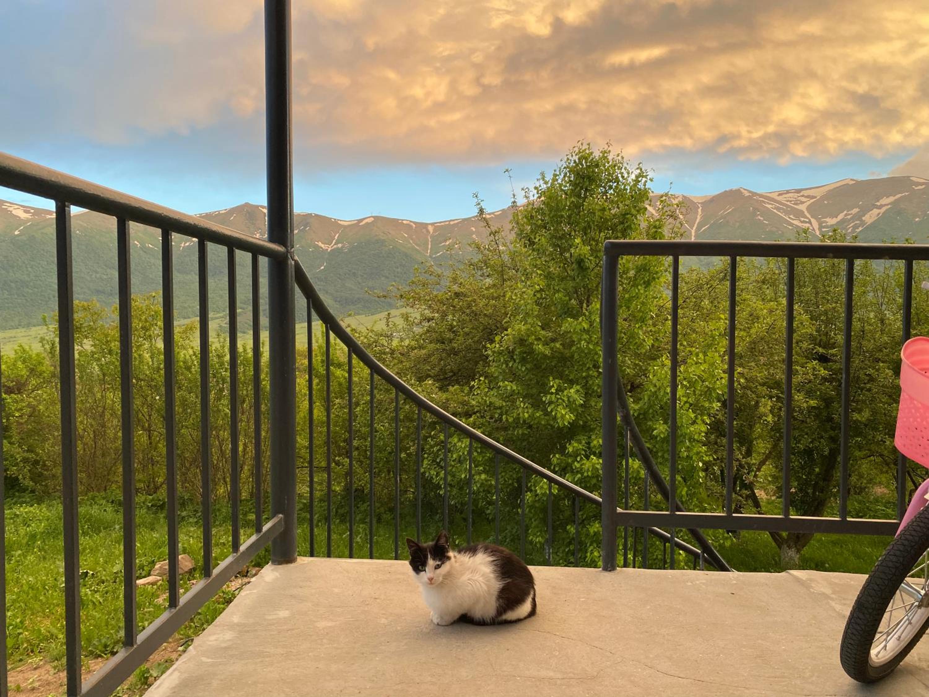 Dez Guest House with Mountain View