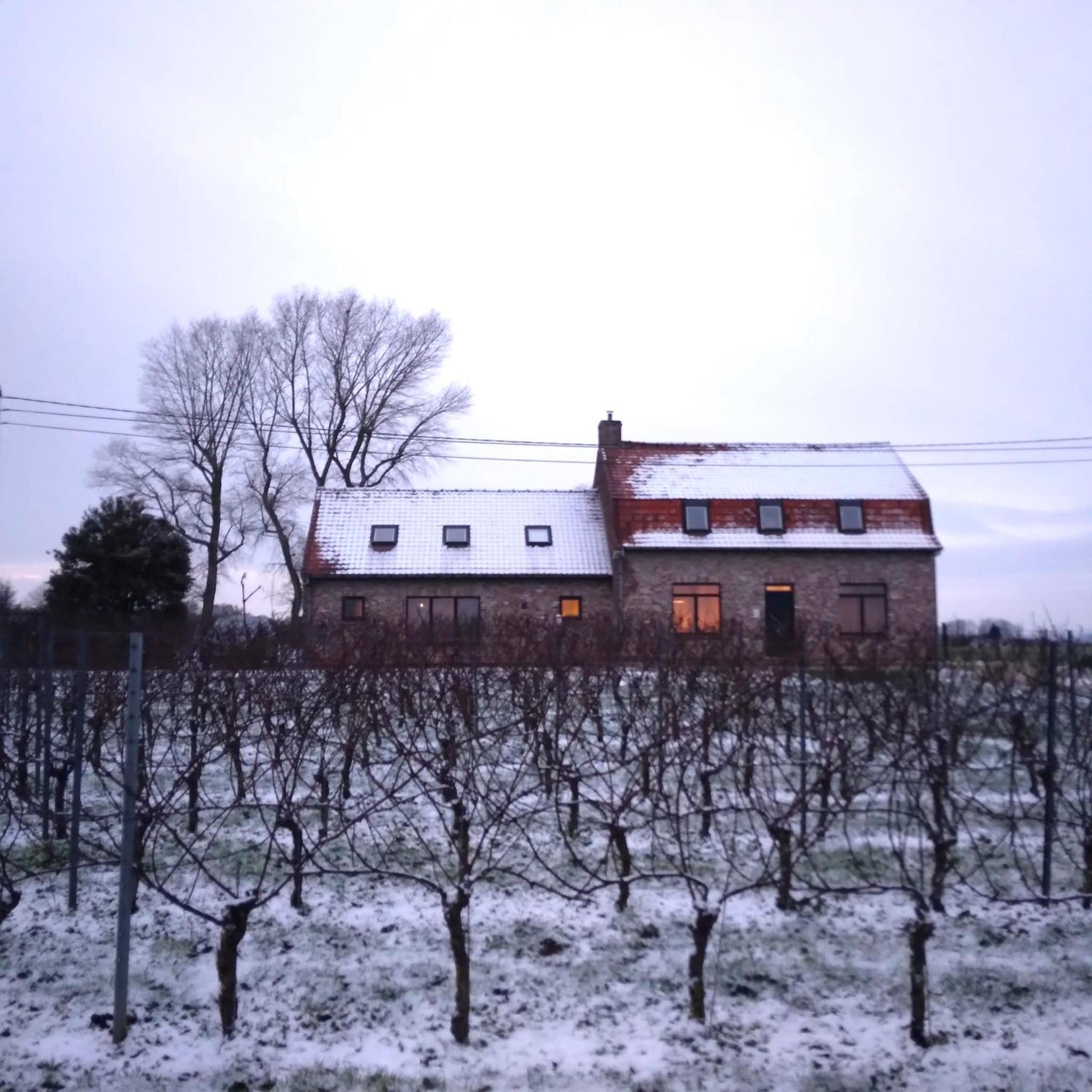 Vakantiewoning Firmament - Rust en ruimte in Heuvelland -