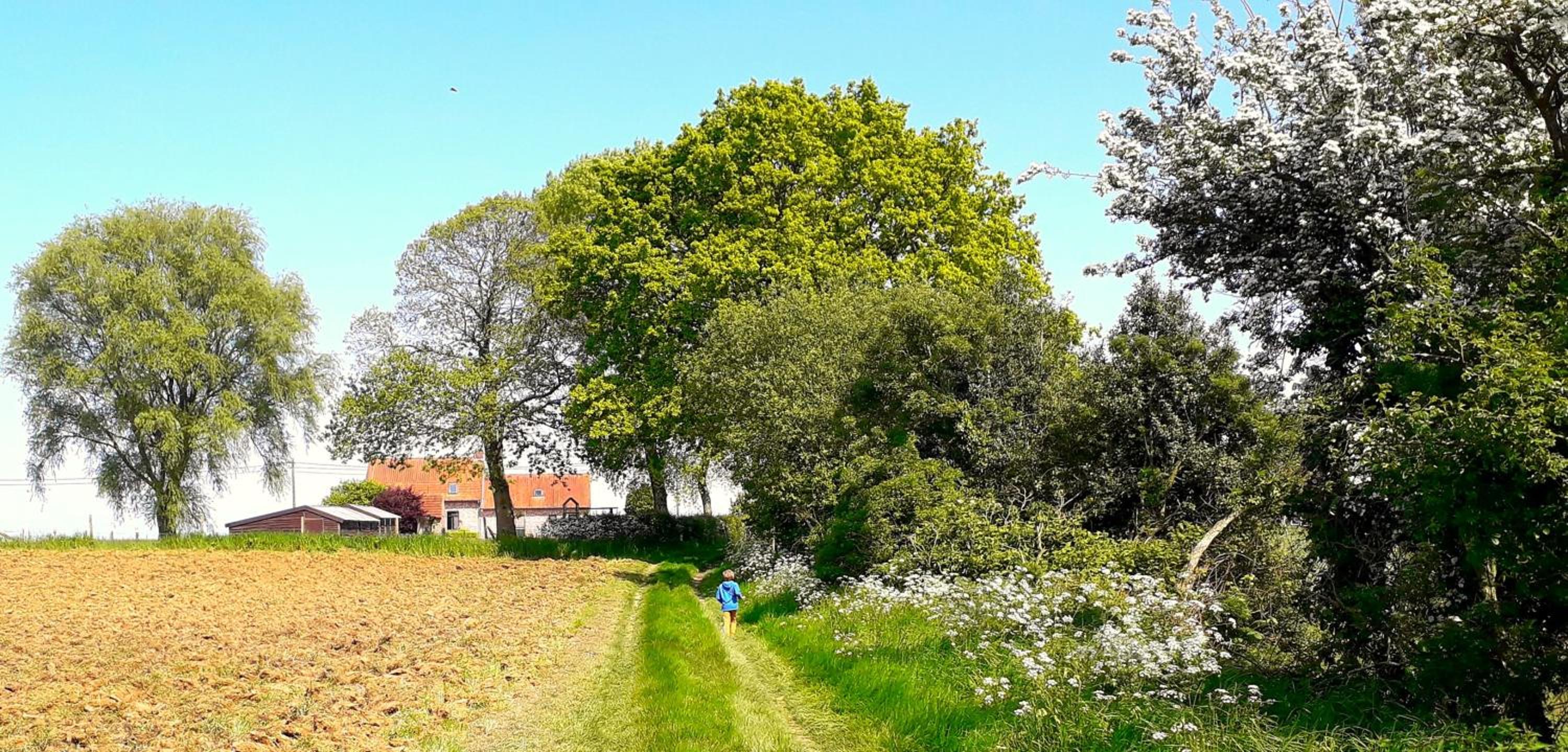 Vakantiewoning Firmament - Rust en ruimte in Heuvelland -