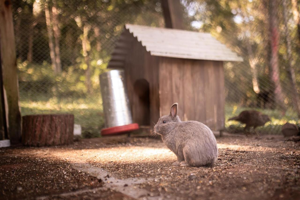 Cabana Recanto da Araucária