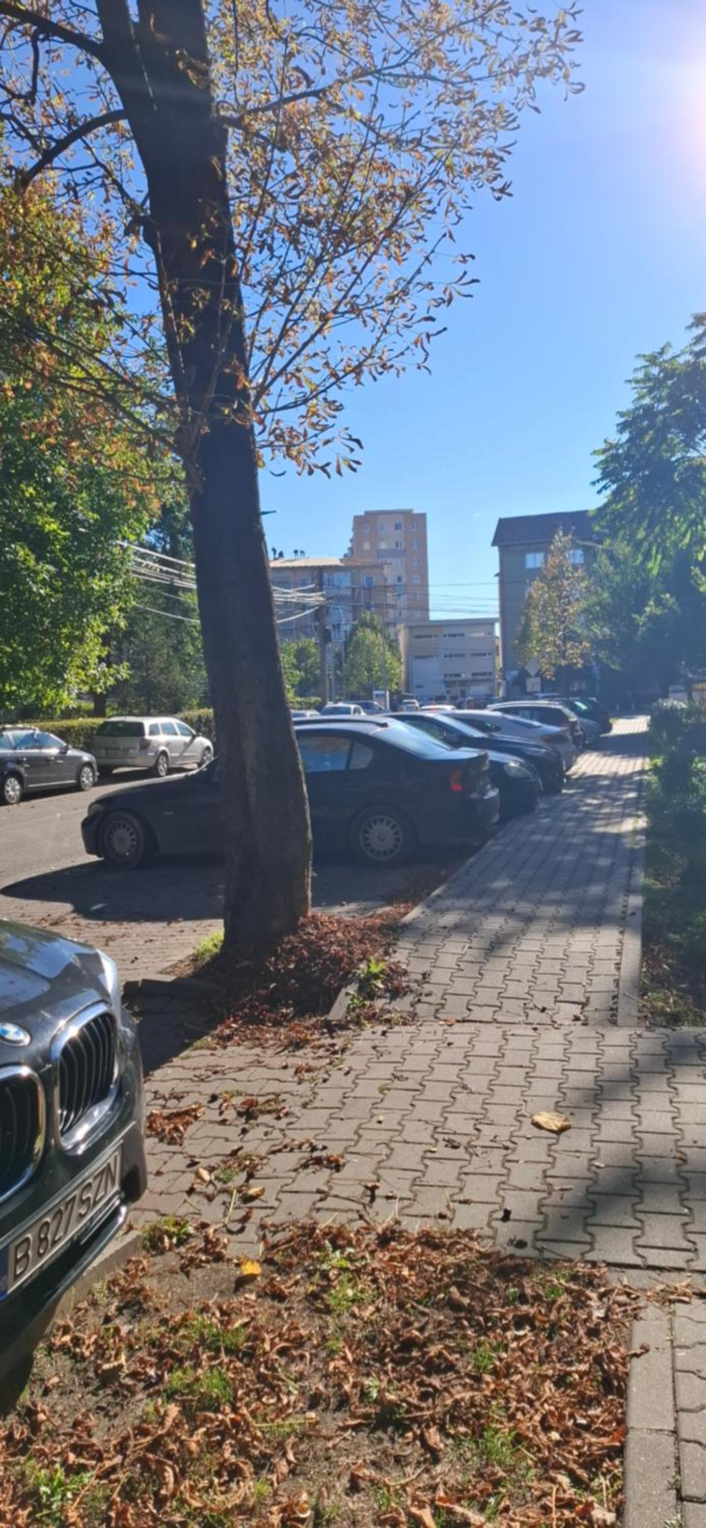 parking