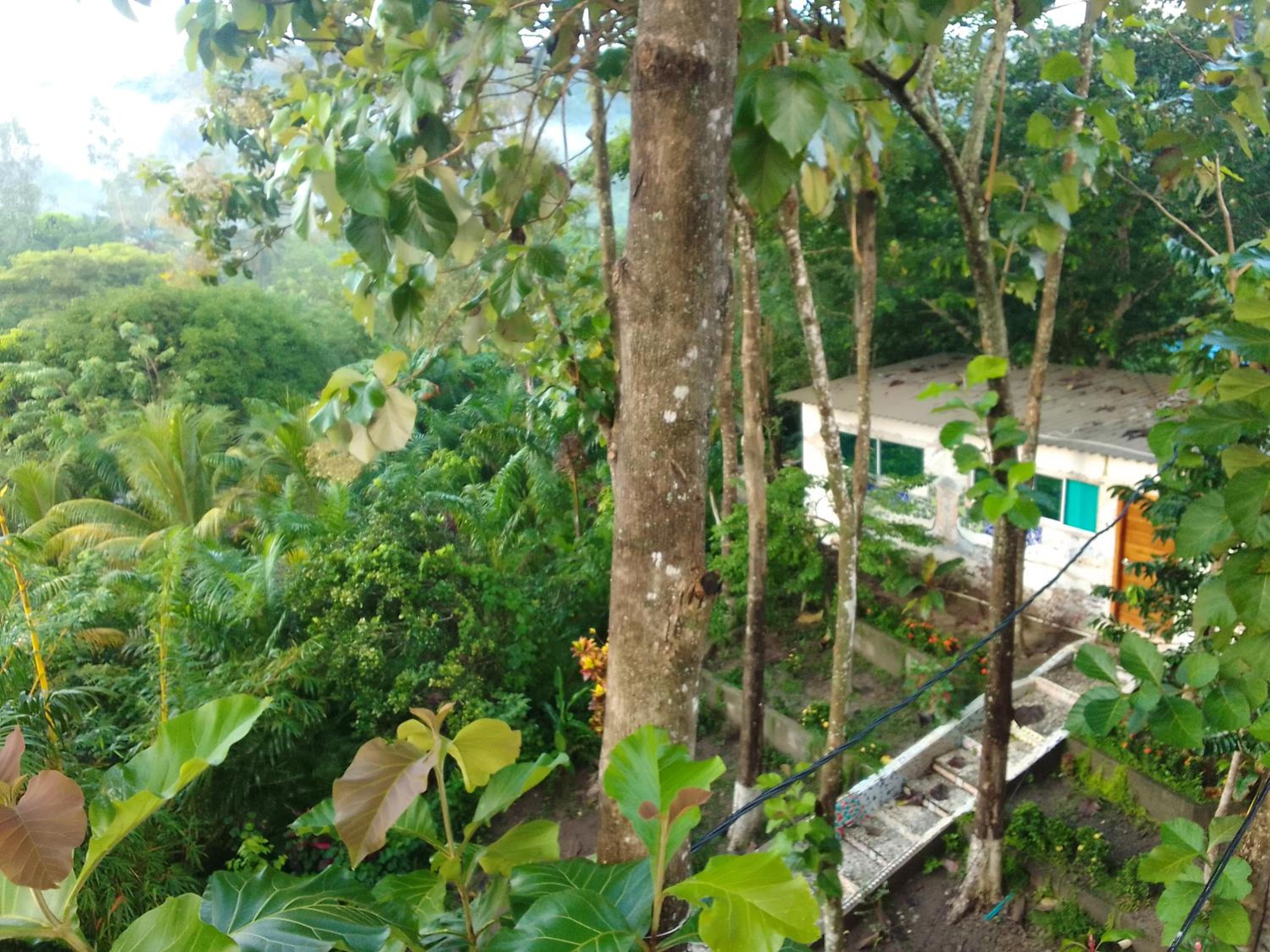 Las Tekas