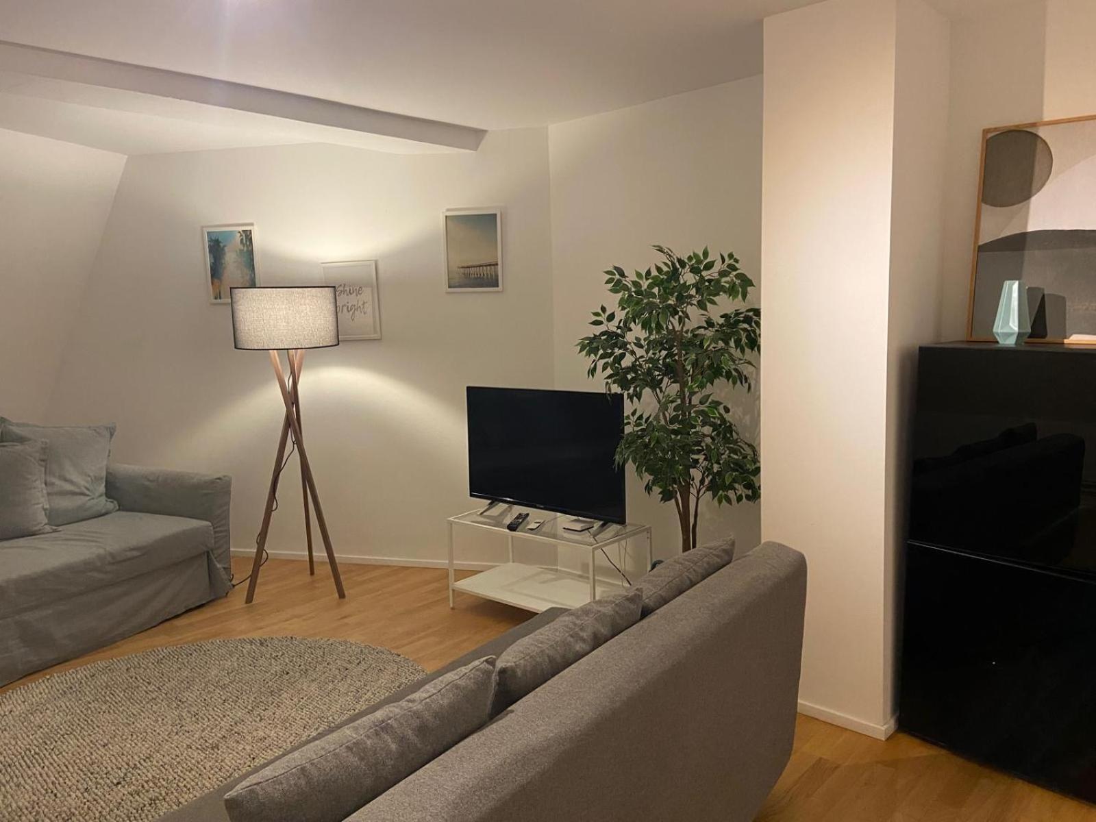 Apartments in Zelgstrasse-Zurich