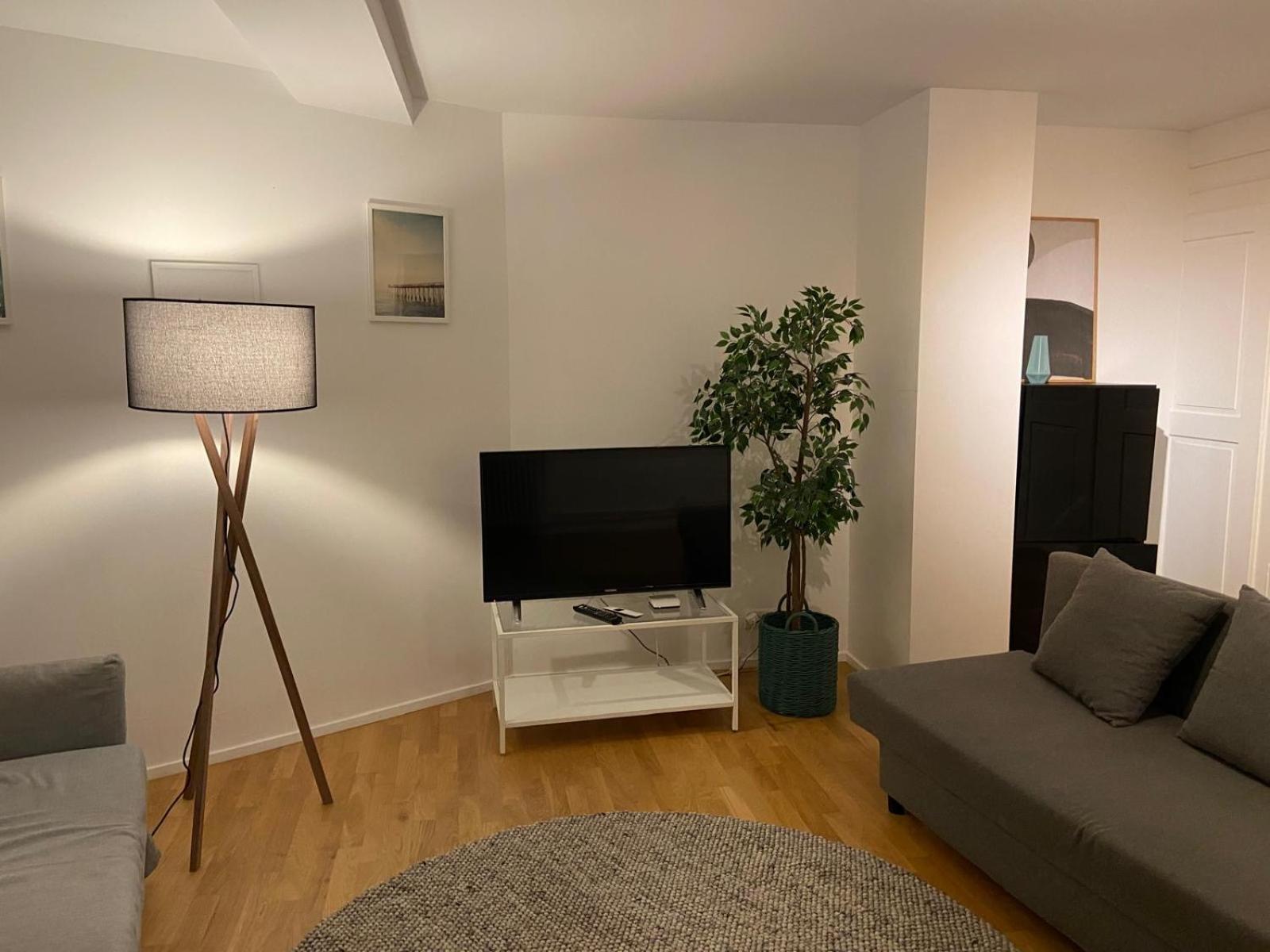 Apartments in Zelgstrasse-Zurich