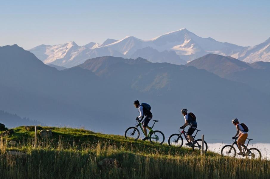 Brixental Suites Hopfgarten by ALPS RESORTS
