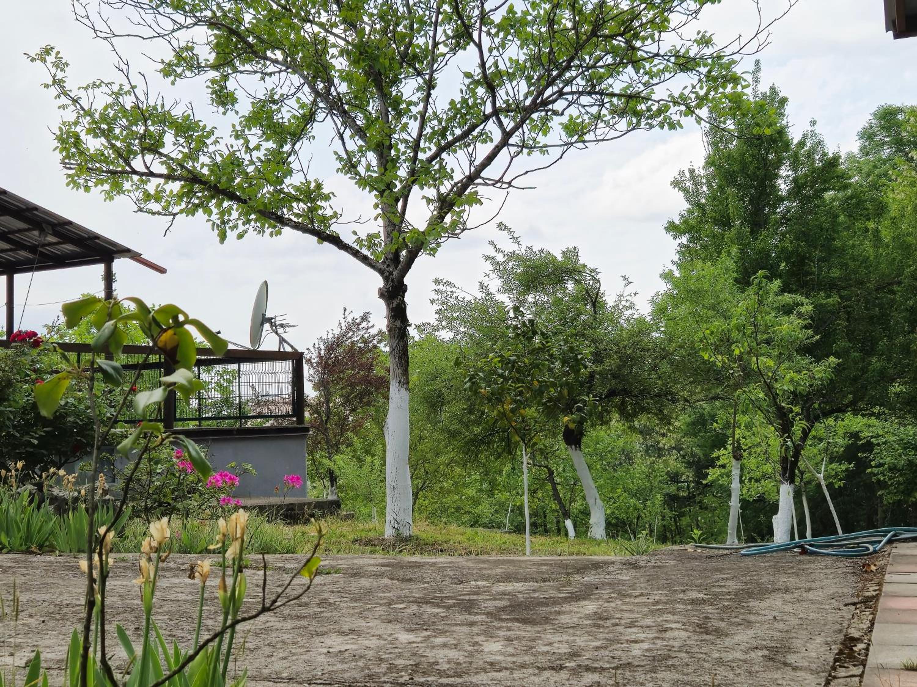 Babilina Hostel & Campsite