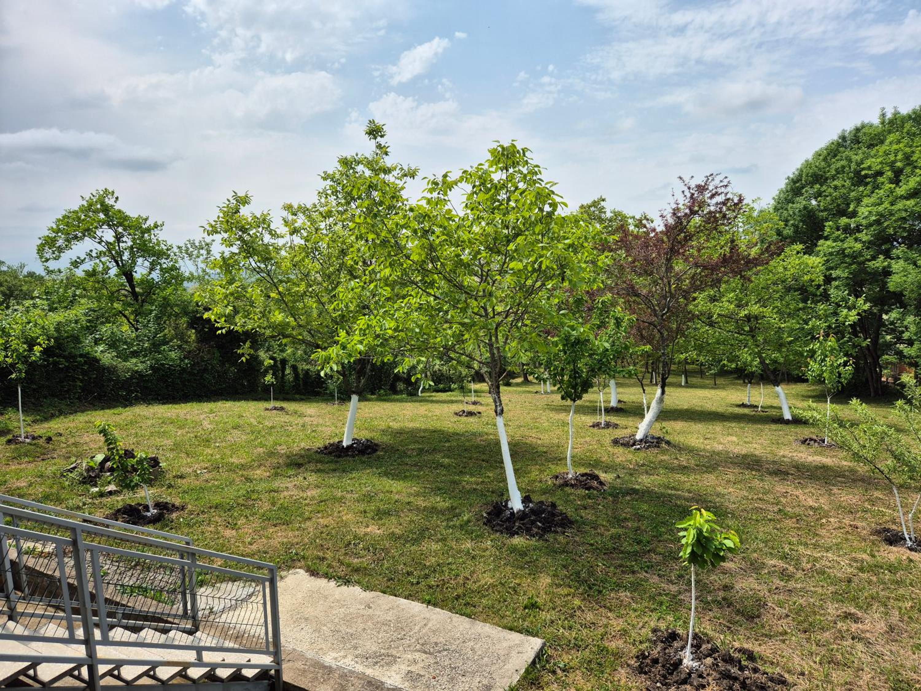 Babilina Hostel & Campsite