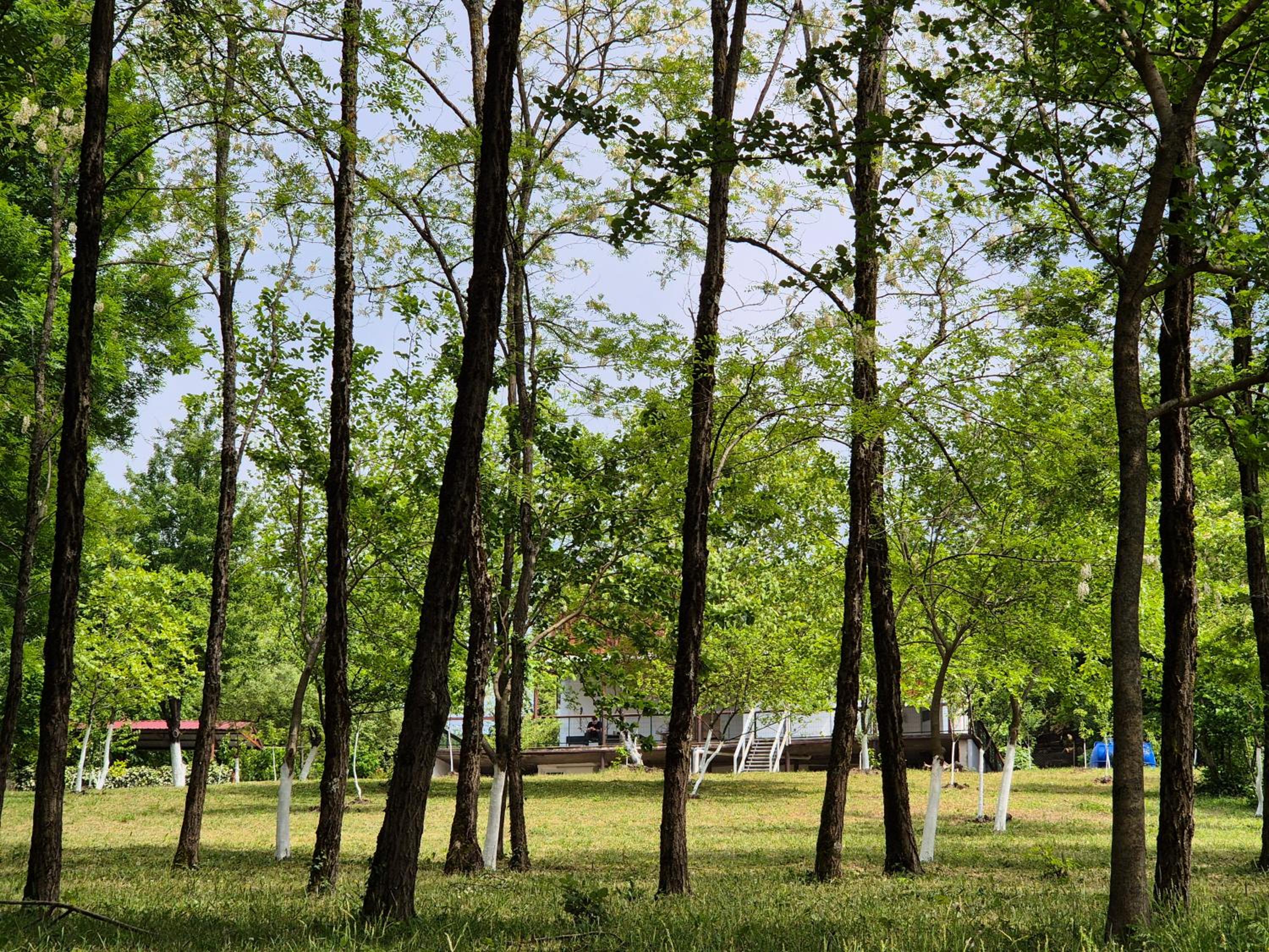 Babilina Hostel & Campsite