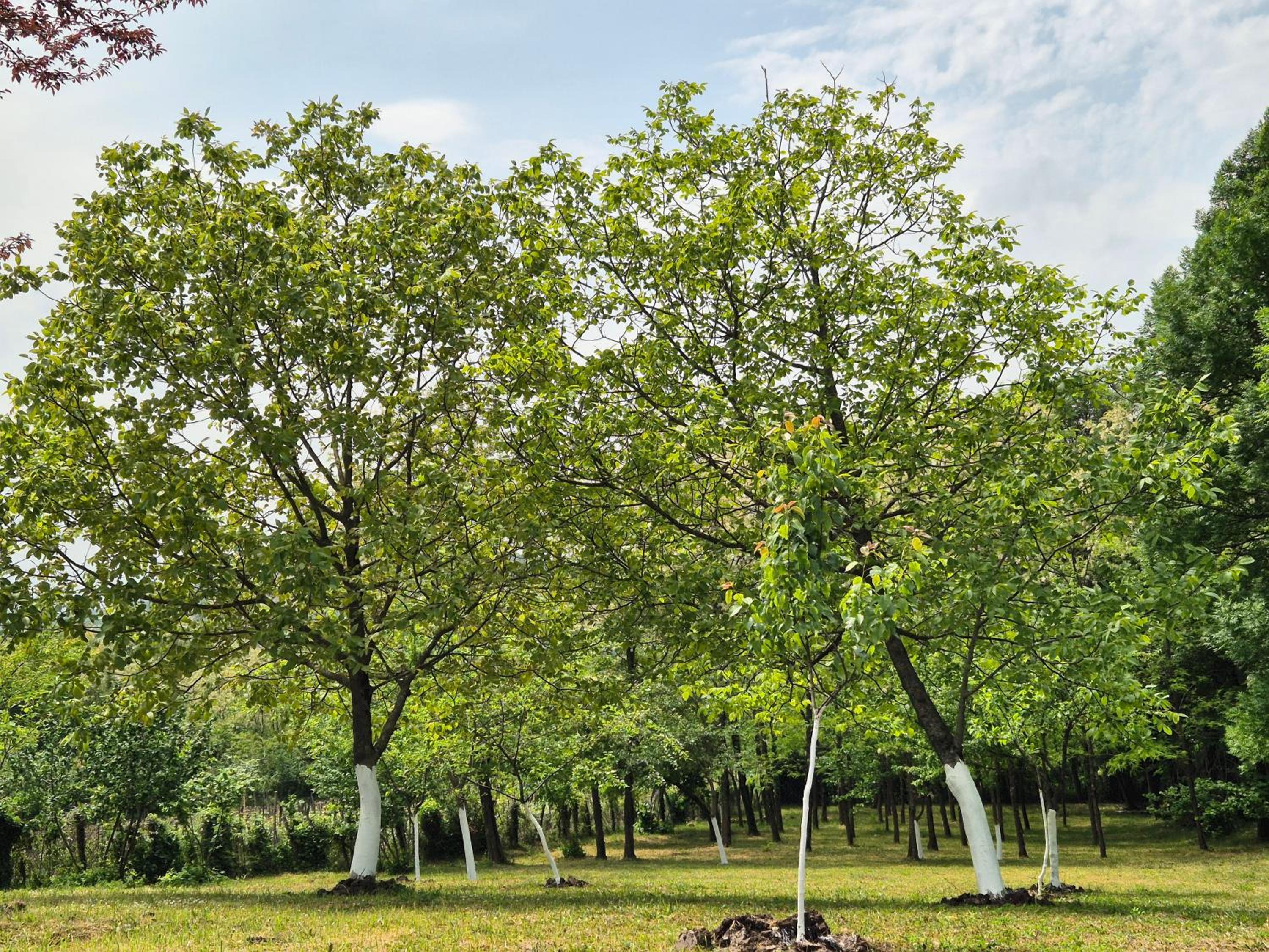 Babilina Hostel & Campsite