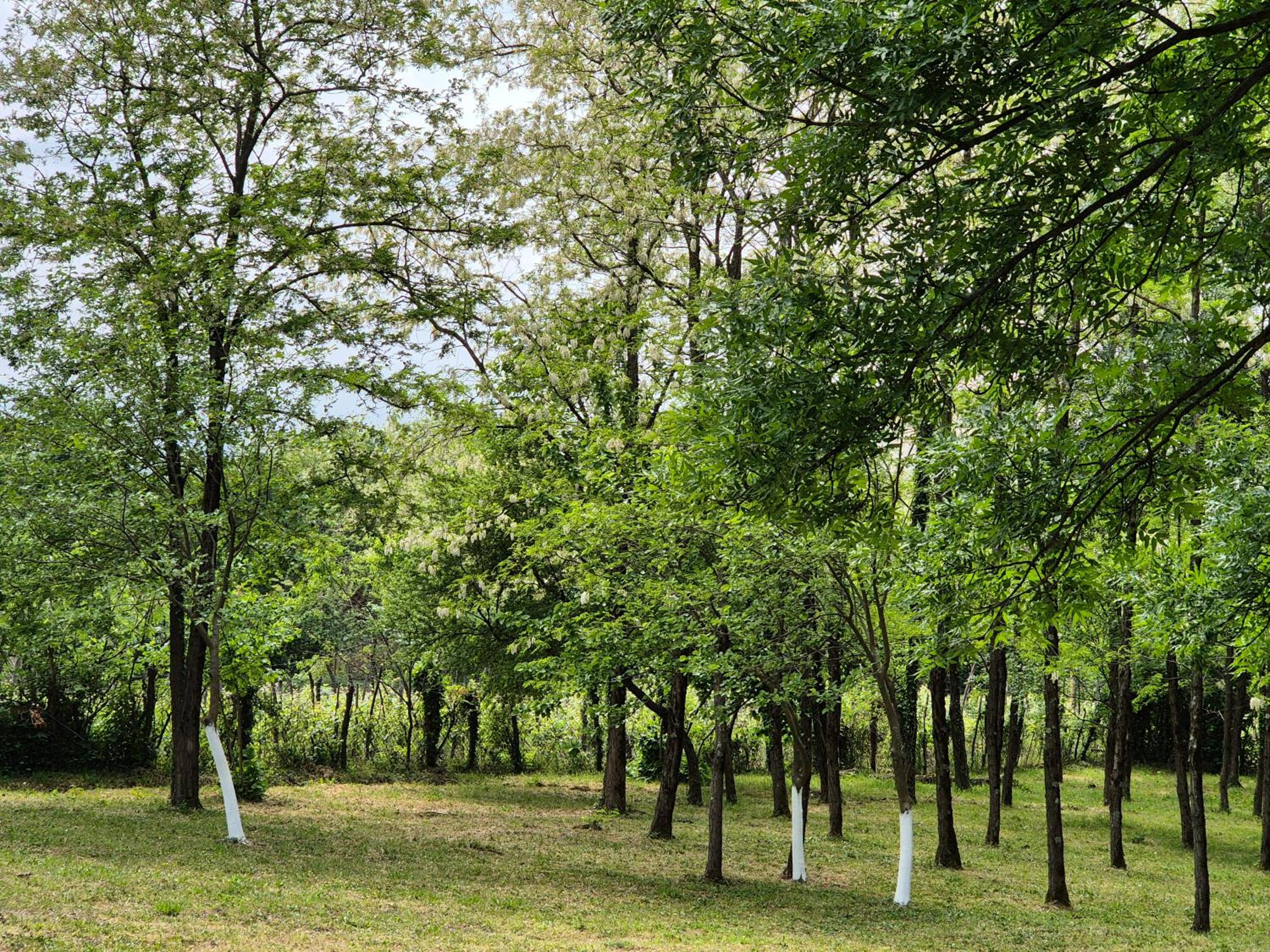 Babilina Hostel & Campsite