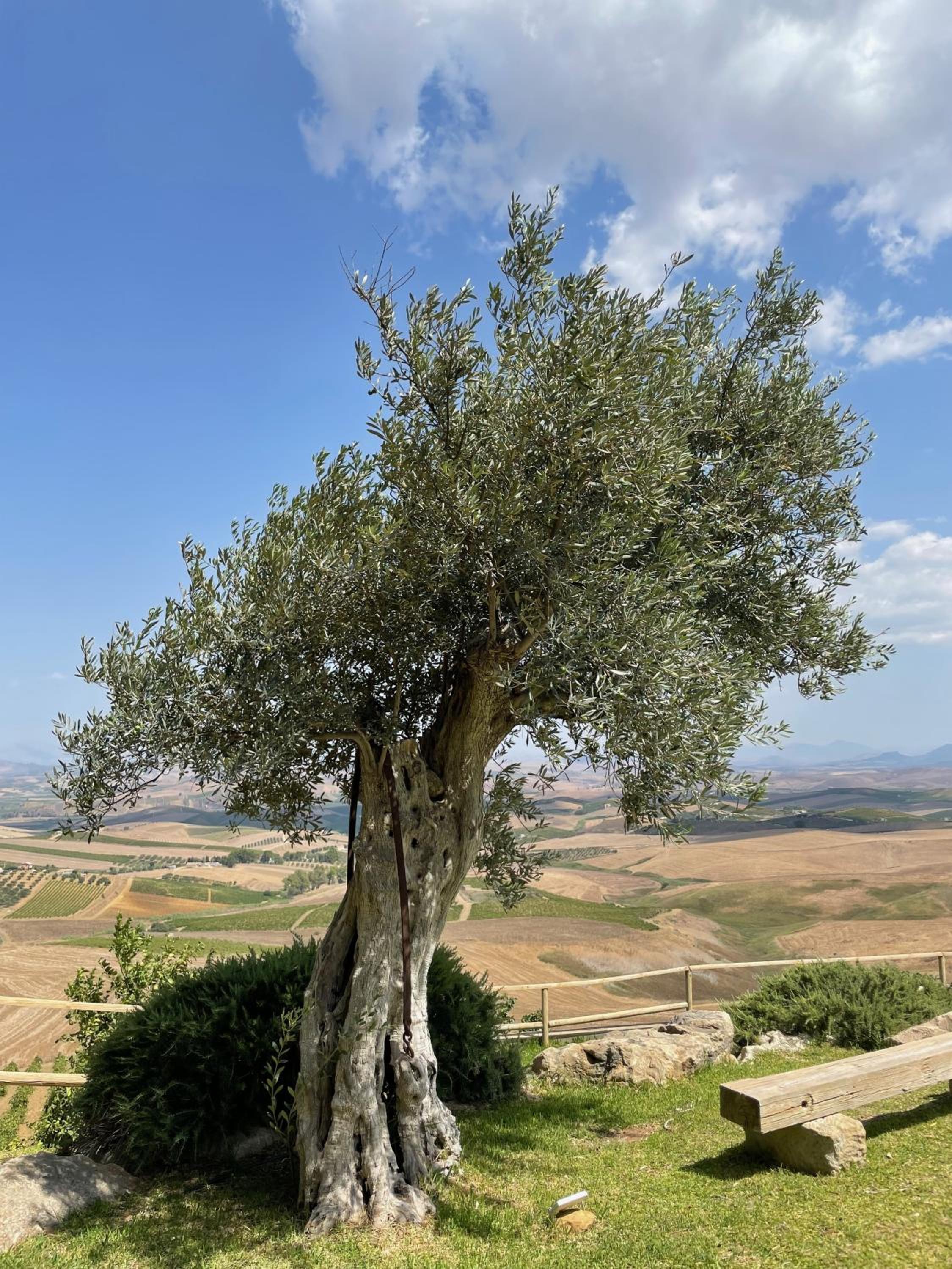 ViLoKa Sicilian Guest House view 2