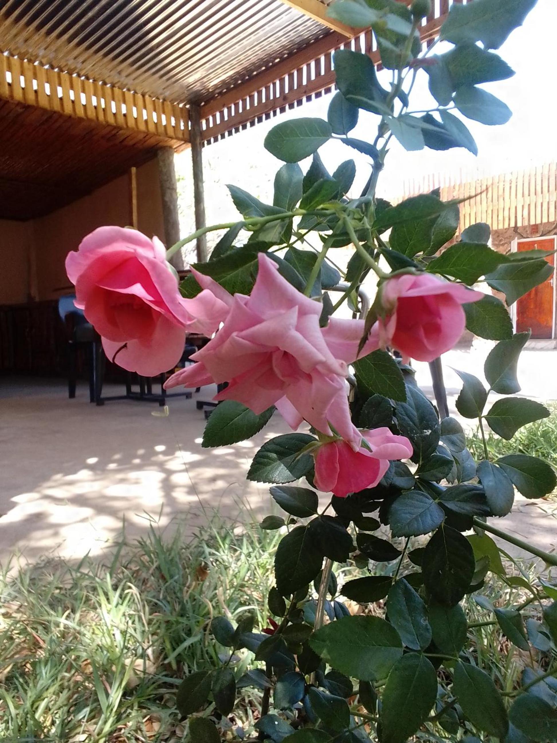 POVI Holiday Home