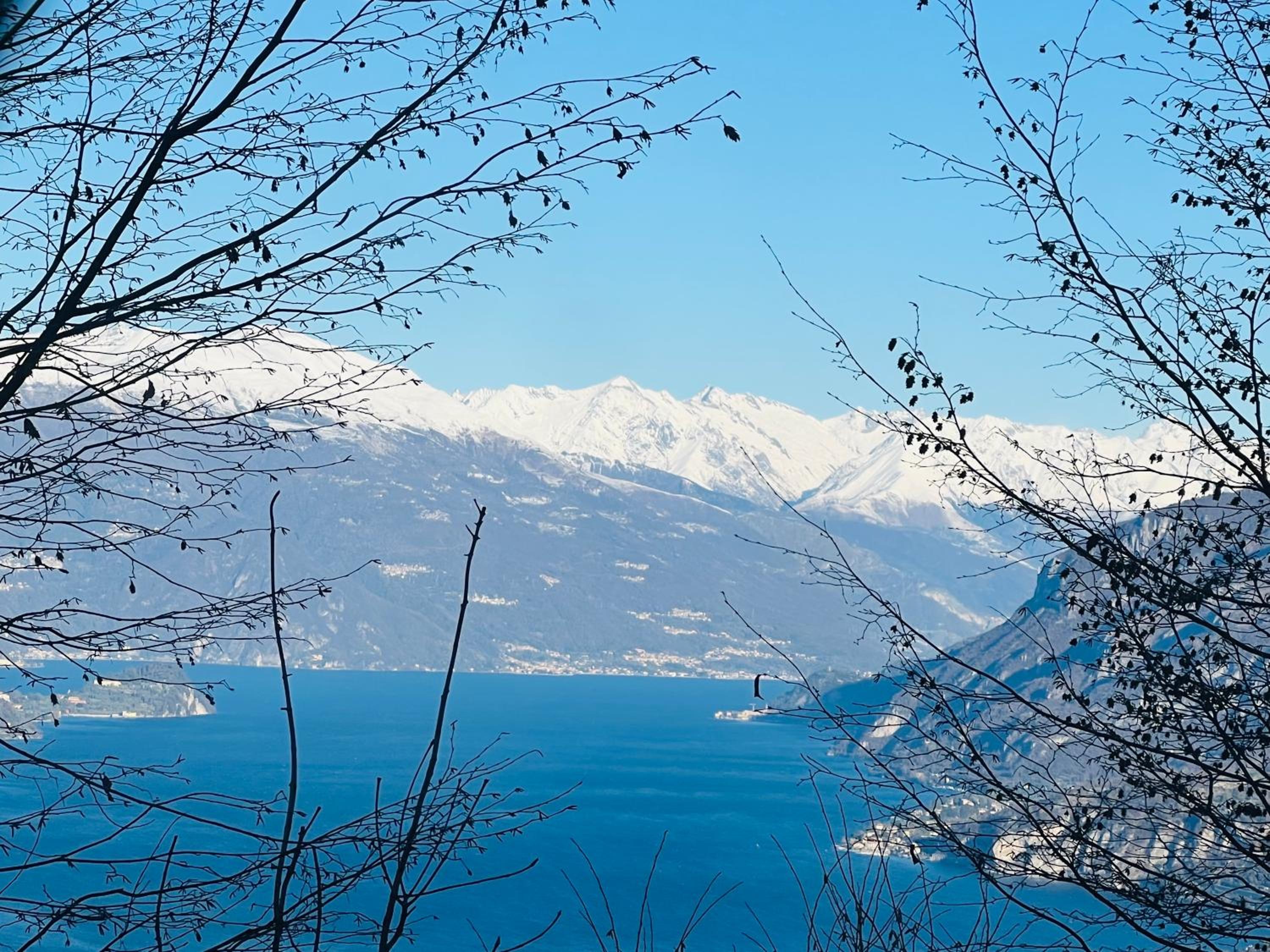 La coccinella photo 4