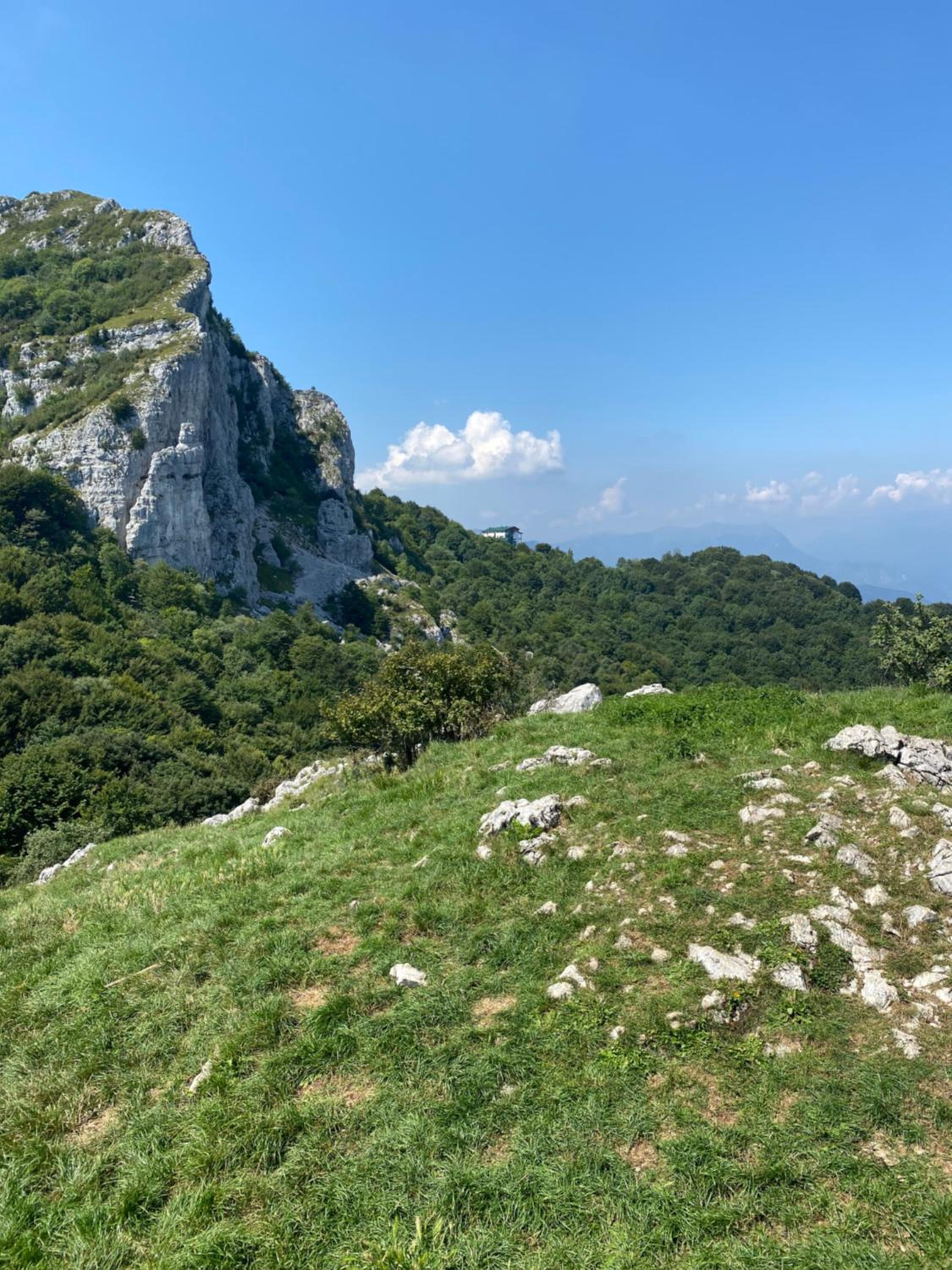 La coccinella photo 3