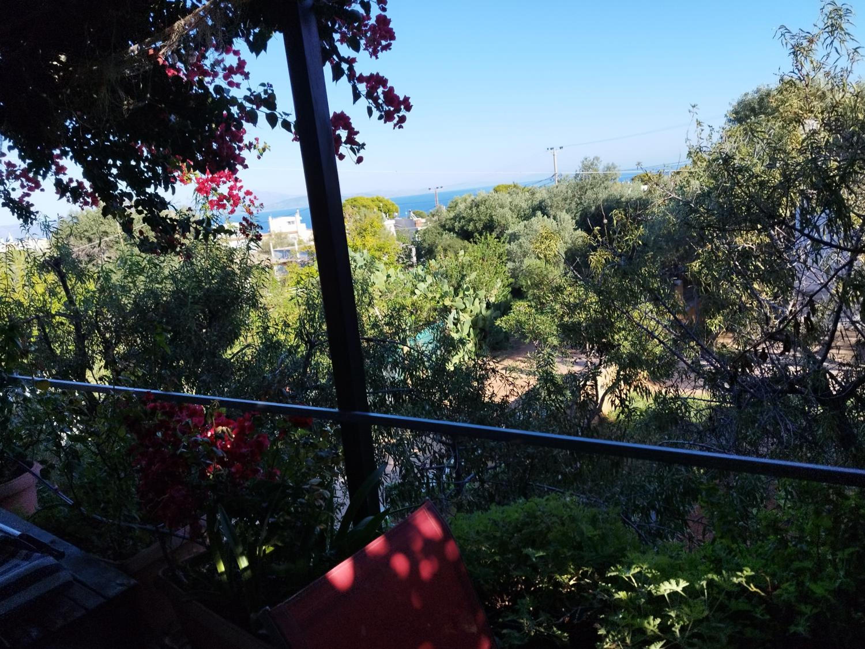 house for vacations 1 photo 1