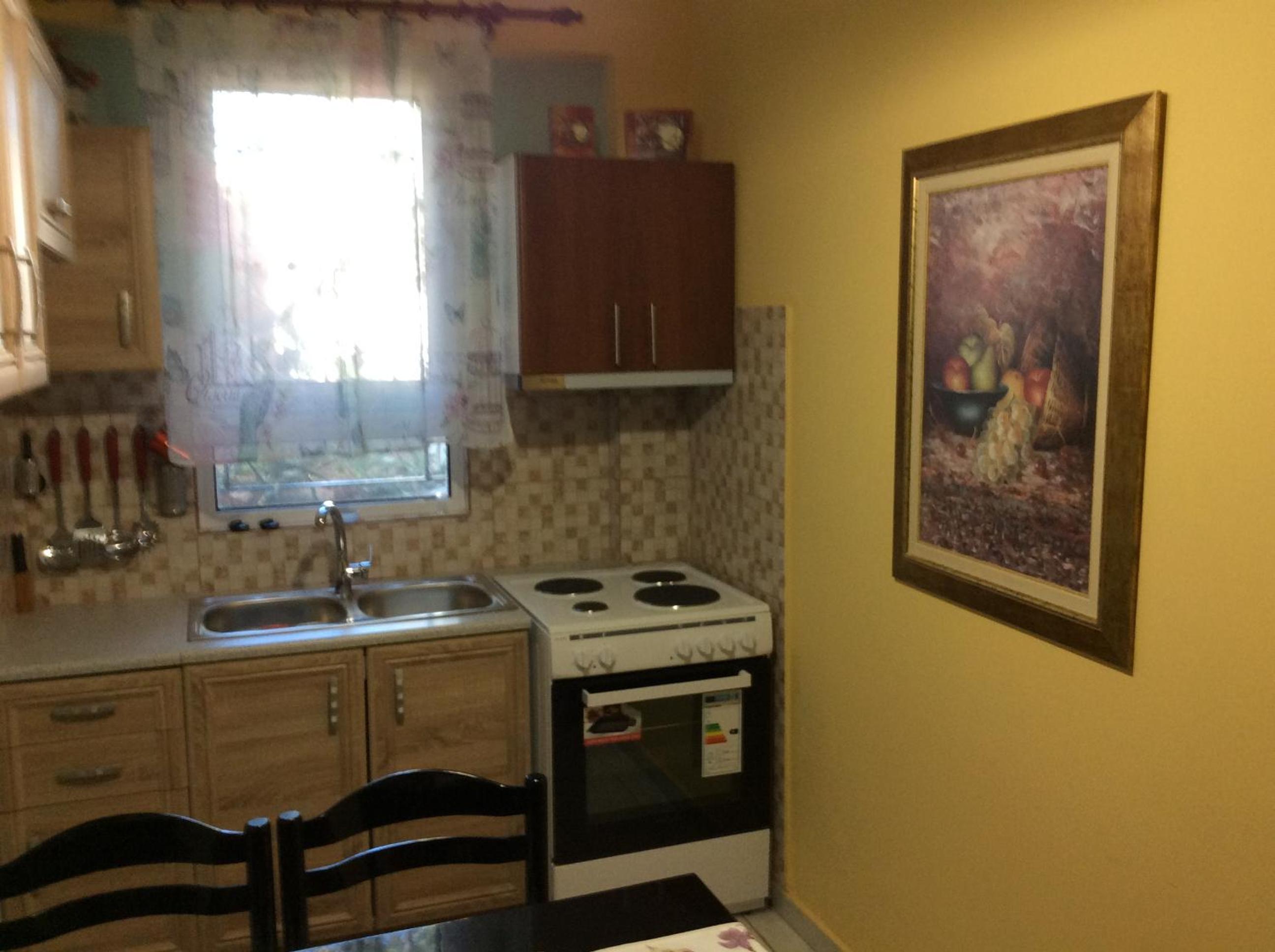 house for vacations 1 photo 3