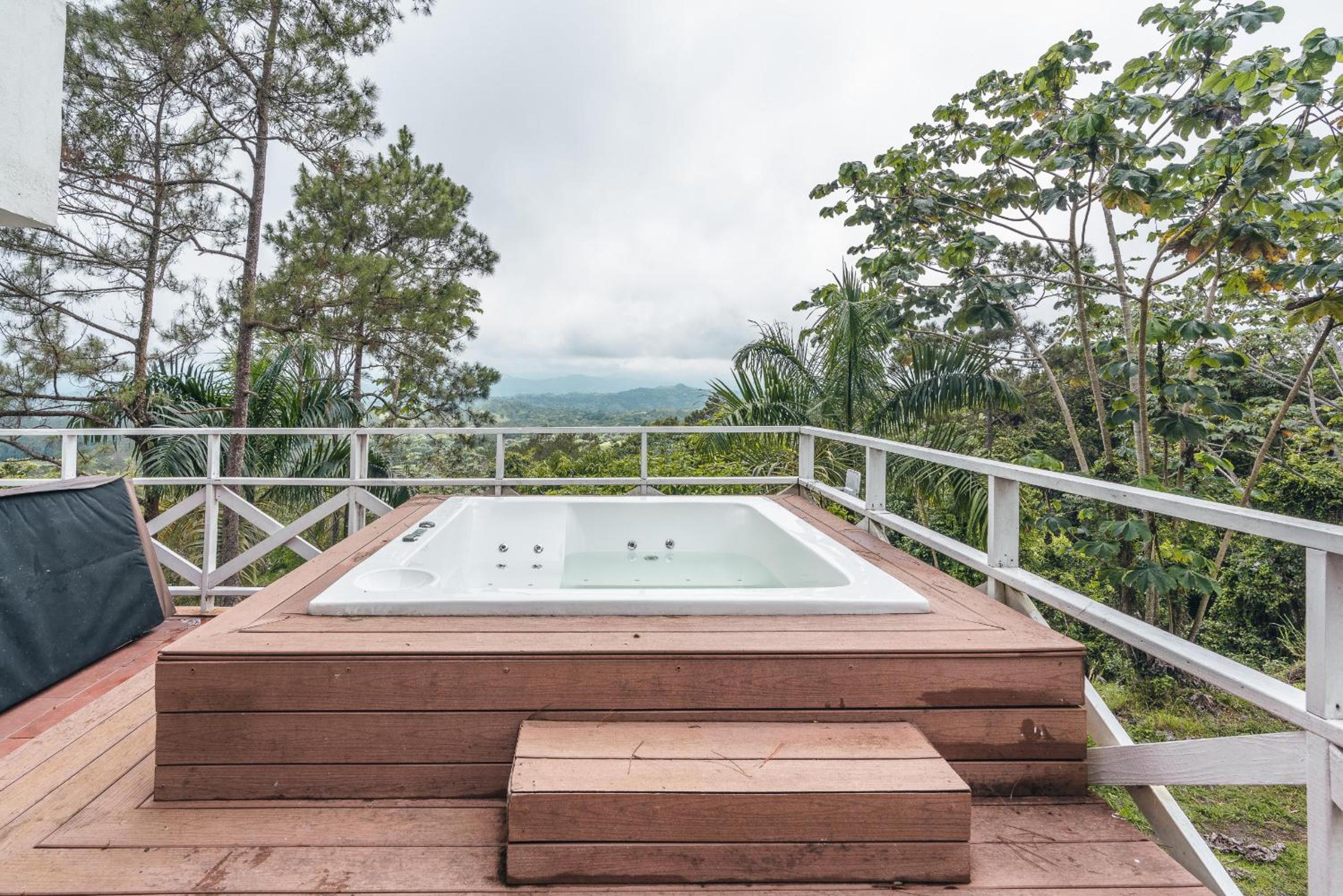 Majestic villa with stunning views in Jarabacoa