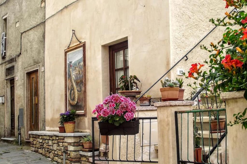 Cosy town Appartment