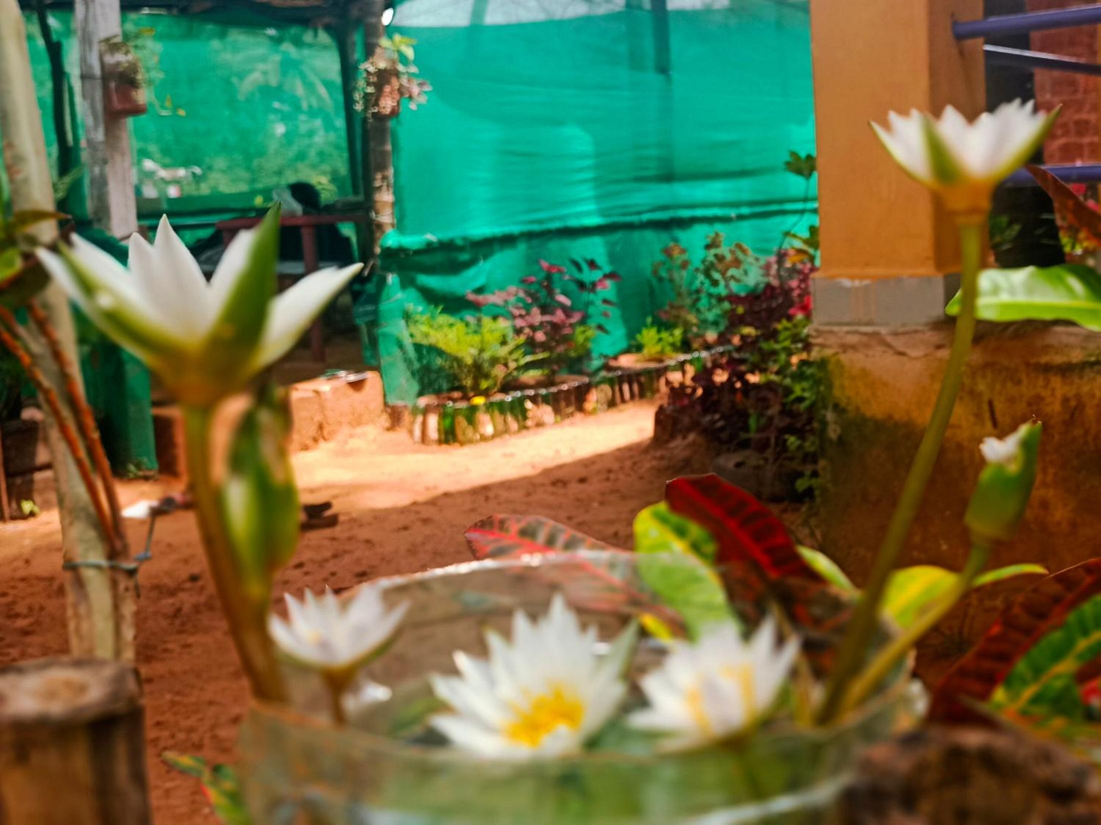 Appaji Cottage & Tnt House view 2
