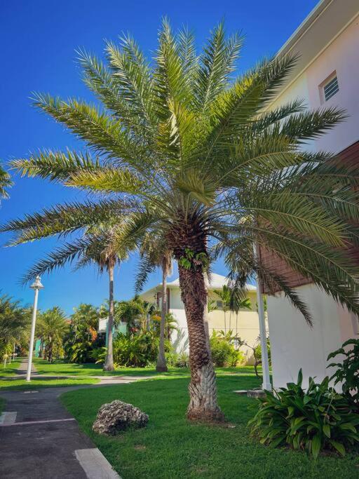 PROMO ! Crystal Beach Suite à 2 min de la plage des raisins clairs