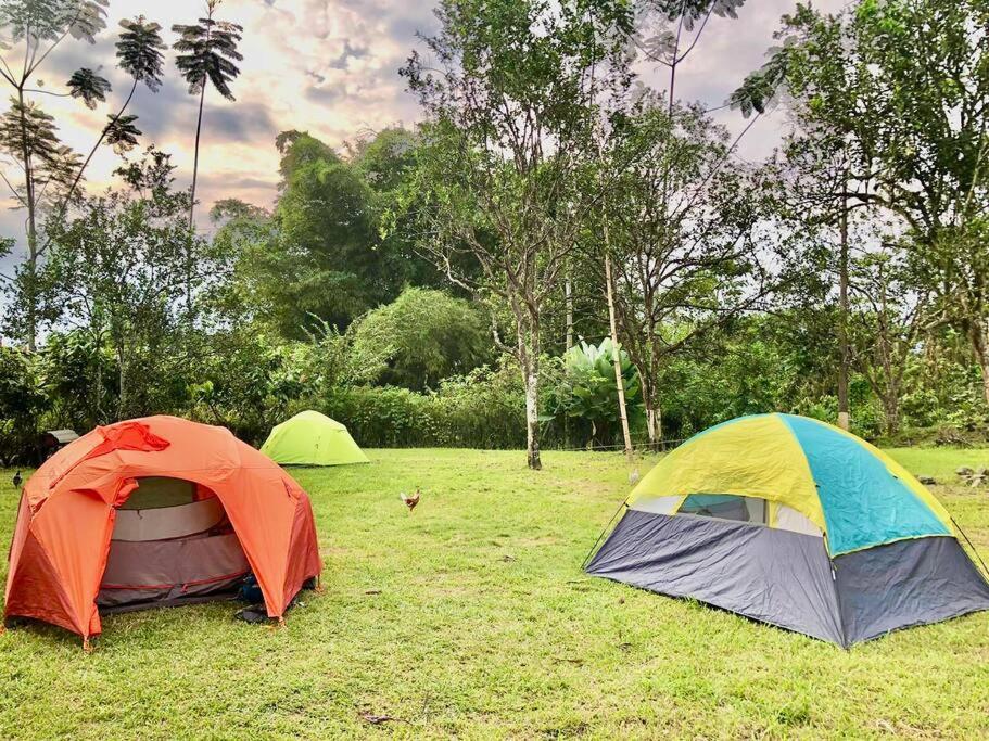 Finca Papa Angelito