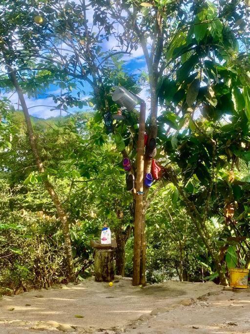 Finca Papa Angelito