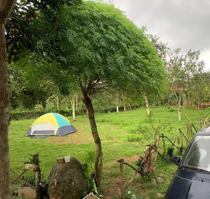 Finca Papa Angelito