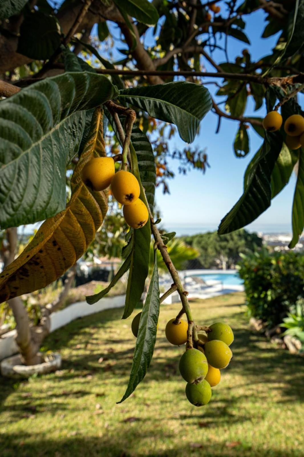 Villa de Luxe avec Vue Époustouflante