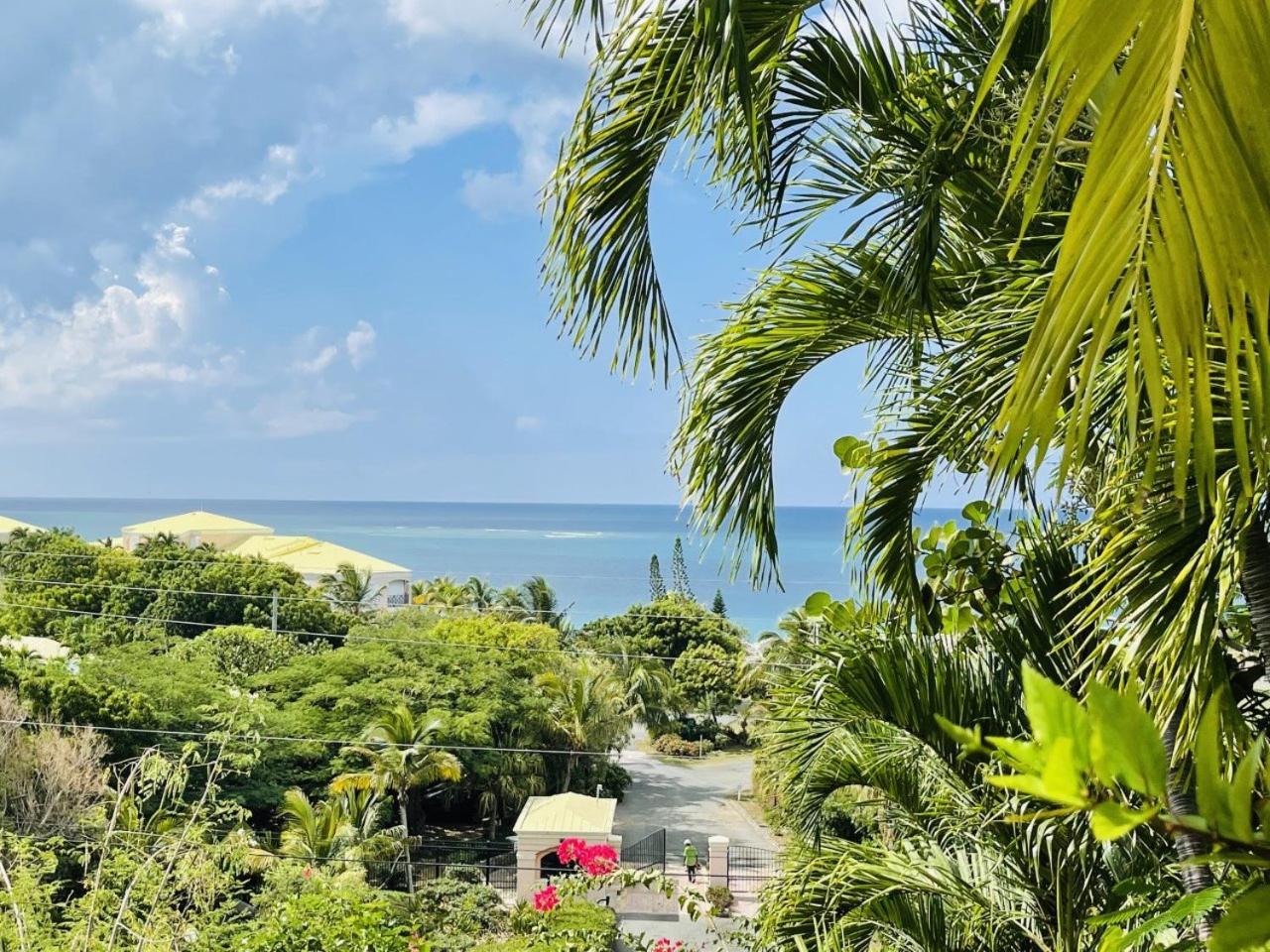 Caribbean Dream - located in the community of Coakley Bay view 4