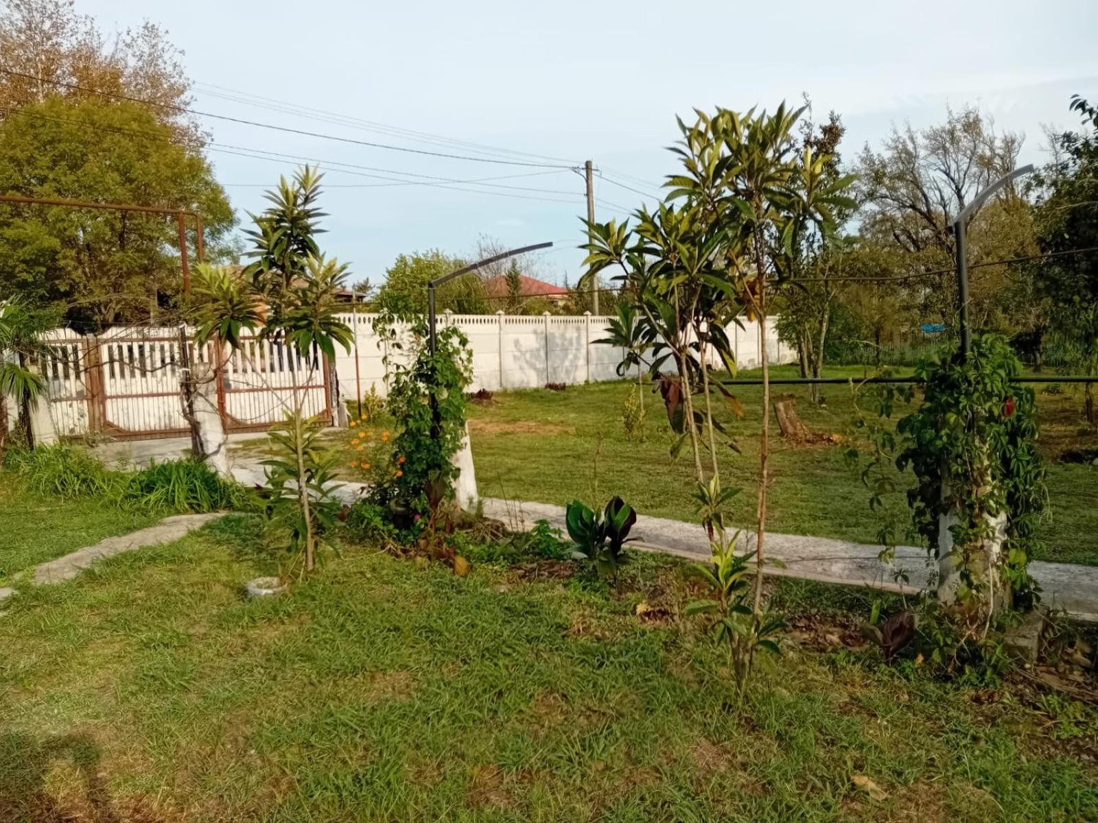 Photo 23
